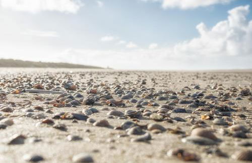 Arche Svea Kiebitz - Foto 12