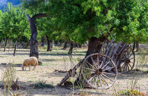 Agroturisme Subies - Foto 6