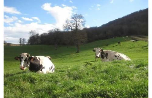 Apartamento ll - Foto 9