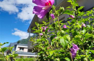 La casa delle margherite - Tirano - Foto 17