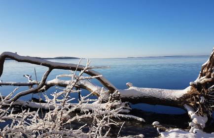 KüstenKind - Foto 20