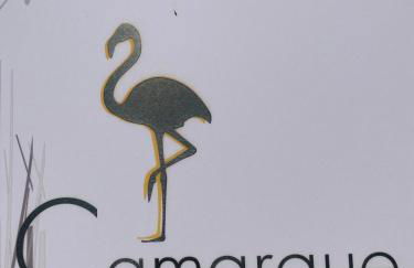 Studio pour deux avec terrasse aux portes de la Camargue - Foto 50