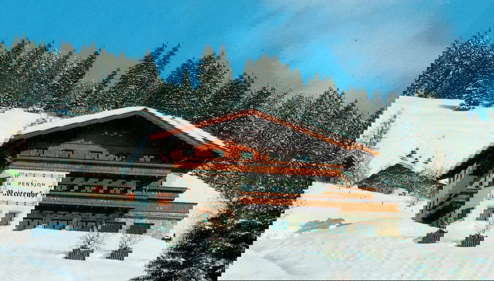 Modern Holiday Home Near the ski Area - Photo 1