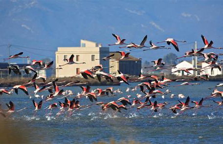 Lo Trabucador Casa nueva en el corazón del Delta - Foto 60