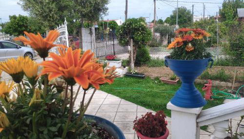Dolphin Paradise Sozopoli - Foto 5, Garden, Garden view