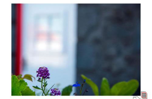 Casa do Zé II AL - Photo 113