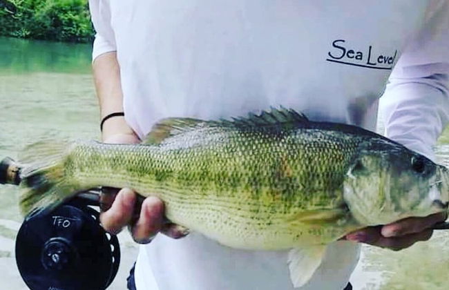 Son's Blue River Camp - Glamping Cabin #1 - Foto 10