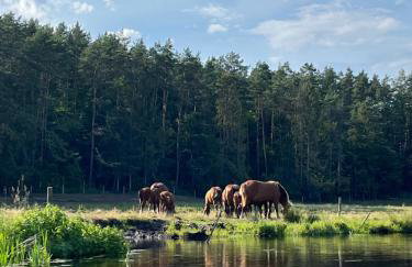 Apartament „Pod Zielonym Dachem” - Foto 26