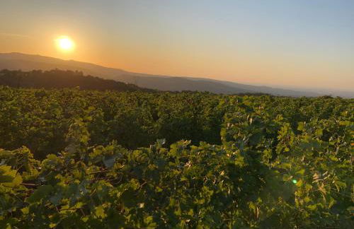 Dimora Le Colline - Foto 4