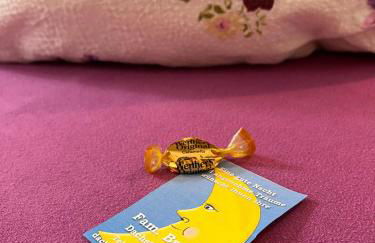 Gemuetliche-Ferienwohnung-Nr-1-im-Harz-fuer-max-4-Personen - Foto 9