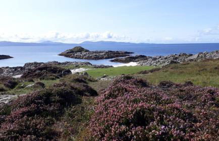 Herons Rest Pod By The Sea - Foto 51