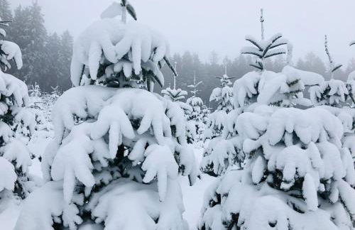 Haus Astenblick in Winterberg Ferienwohnungen mit Gastraum Wanderveranstaltungen und Familienfeiern - Foto 49