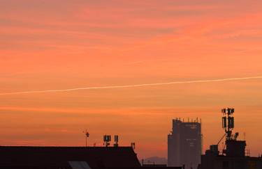 La Racine - Foto 9