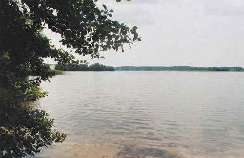 Gemütliche Ferienwohnung, separater Eingang - Foto 12