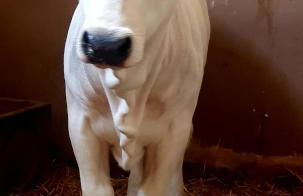 La Collina dei Cavalieri - Foto 61