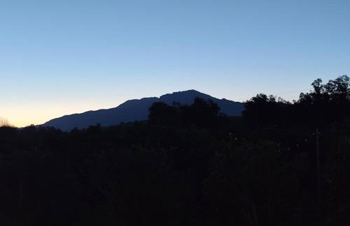 Andalusian Pool Parties Music & Magic - Photo 5