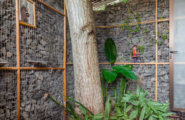 Terminal Verde - Foto 76