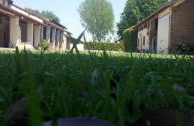 AGRITURISMO LE ZORLESCHE - Foto 21