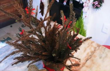 Bangalo a beira do rio em plena natureza - Foto 6