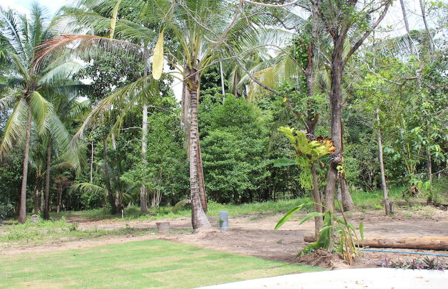 Phangan Green Village - Photo 14
