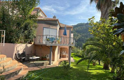 Casa Loureiro - Vista Rio Douro - Foto 38