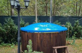 Niezapominajka - Foto 13