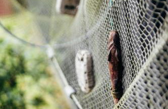 Abendsonne - Photo 24