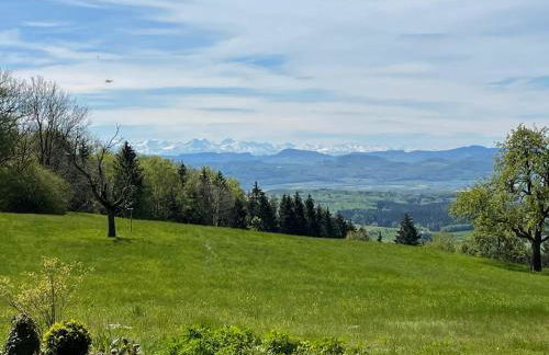Alpenblick-Steineckhof - Foto 29