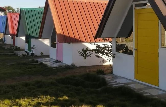 Live N Love - Photo 3