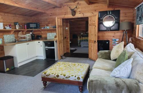 Forest Cabin Retreat - Sleeps 2 - Wifi & Garden - Foto 4