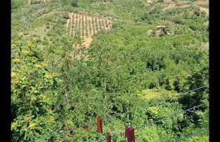 Casa Maria - Vacation home - Photo 15