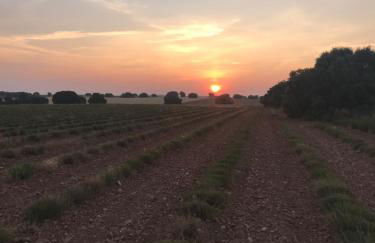 Casa Rural Pernales I - Foto 22