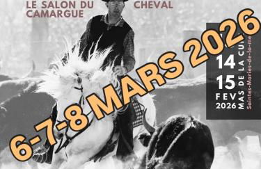 Gite Armieux - Foto 29