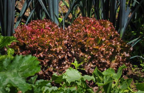 Casa de Pereiró - Foto 34