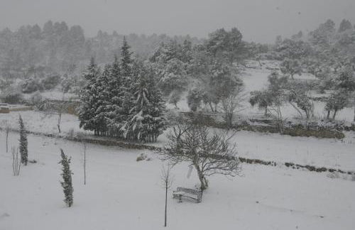 Hort de L'Aubert - Foto 70