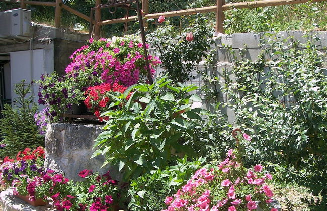 Country House Antiche Dimore - Foto 46