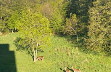 Casa del Bosque - Photo 5