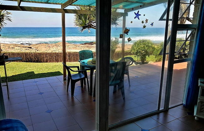 Southern Comfort - Starfish - Foto 7