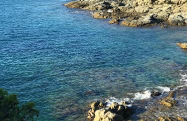 CASTELL BLAU - Foto 42