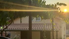 Basil & Sunrise - Photo 2