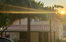 Basil & Sunrise - Photo 2