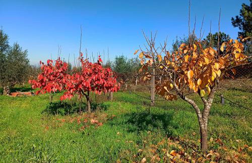Refúgio de Alburitel - Foto 47
