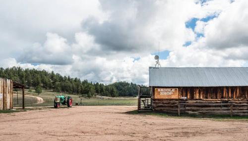 Cabin in Colorado NTL Forest - Foto 2