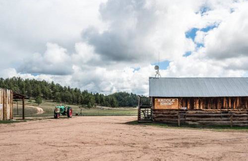 Cabin in Colorado NTL Forest - Foto 2