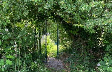 Die grüne Bleibe im Pfälzer Wald - Foto 14