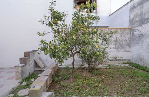 Click & Dream - Foto 7