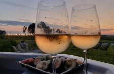 Osada Miłojeż - całoroczne Domy Premium w Borach Tucholskich, Jacuzzi pod gwiazdami - Foto 59