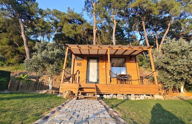 TİNY MİNİ HOUSE - Foto 3