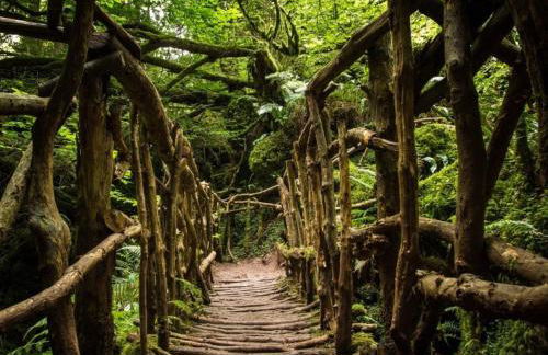 2 Bed in Chepstow oc-42837 - Foto 40