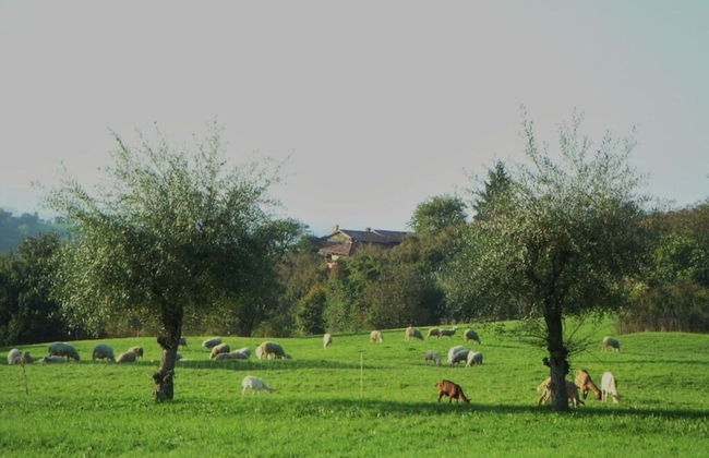 Nice Apartment in Trassenheide - Foto 13